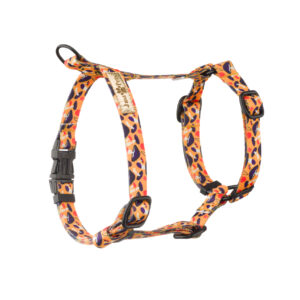 szelki just for pets