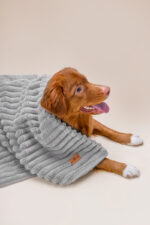 kocyk dwustronny - just for pets