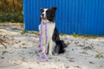 smycz przepinana just for pets