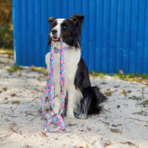 smycz przepinana just for pets