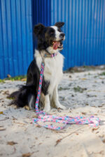 SMYCZ MIEJSKA JUST FOR PETS