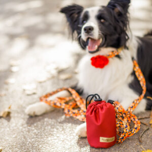 obroża just for pets