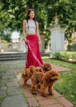 smycz just for pets